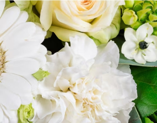 White Bouquet