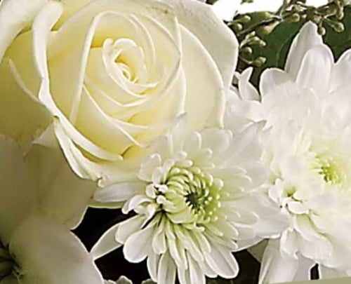 White Box Arrangement