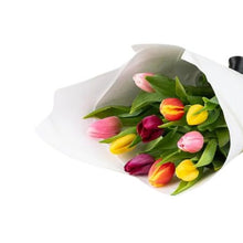 Tulip Bouquet